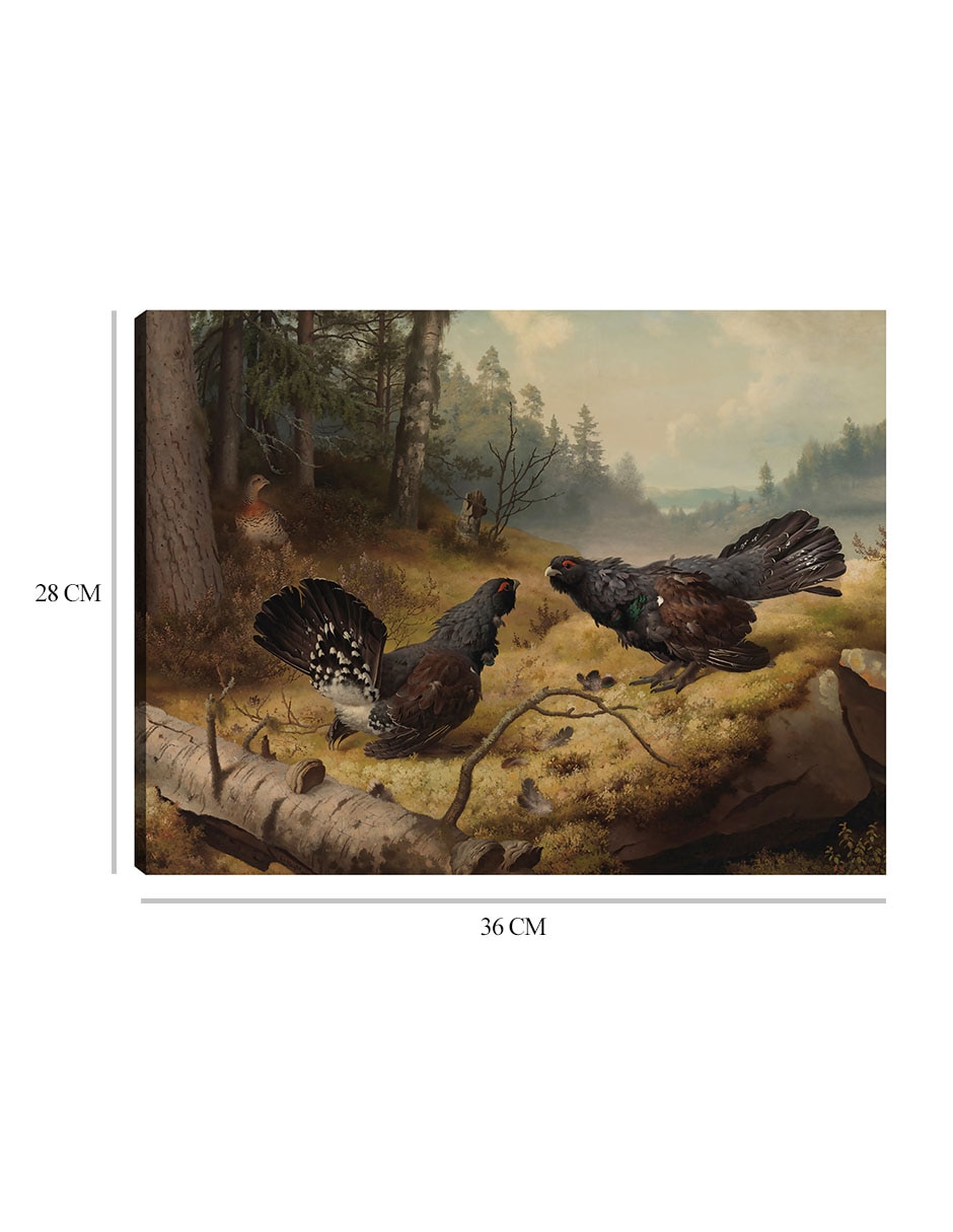 Cuadro decorativo Los urogallos luchadores (1886) técnica mixta Aves Silvestres 2
