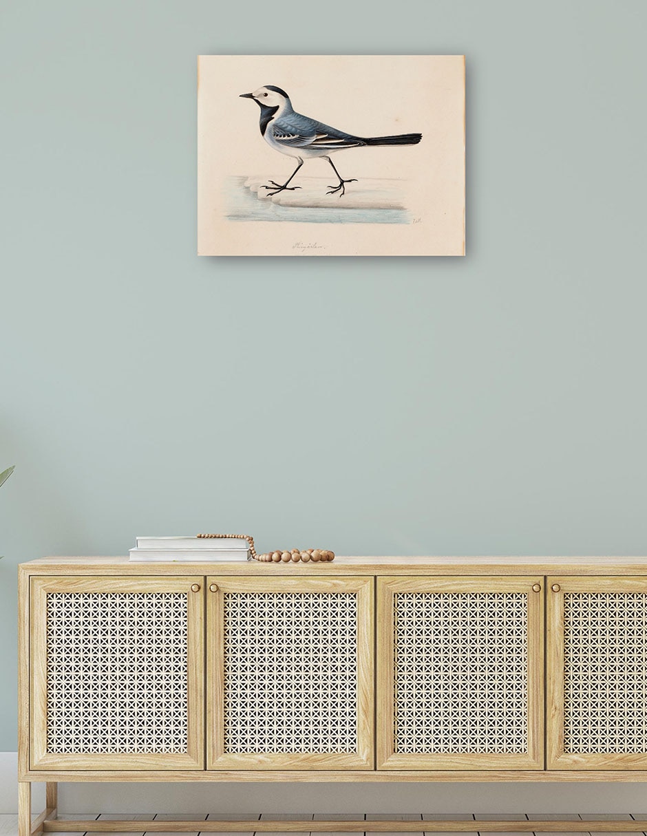 Cuadro decorativo Lavandera blanca técnica mixta Aves Silvestres 4