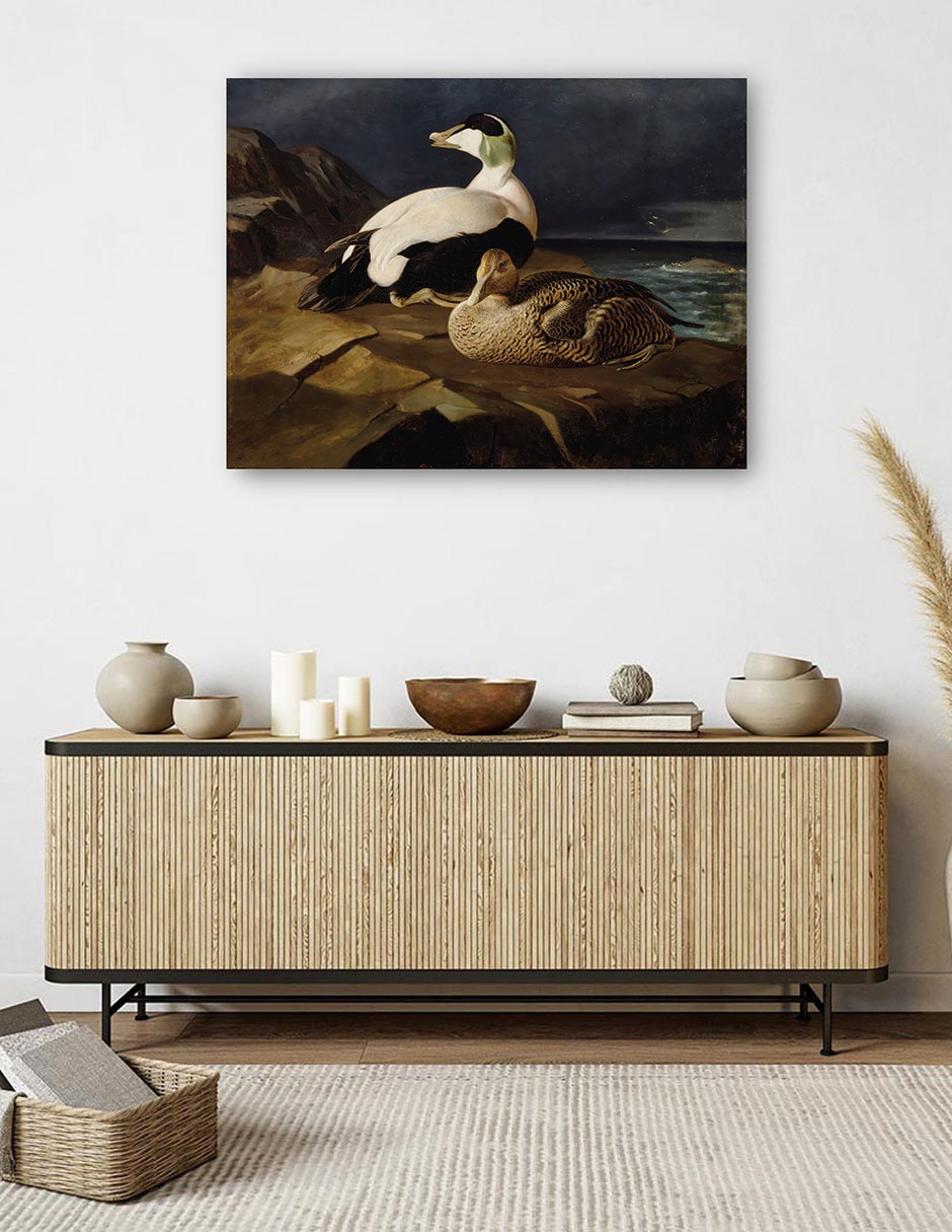 Cuadro decorativo Par de eiders comunes sobre una roca (1869) técnica mixta Aves Silvestres 5