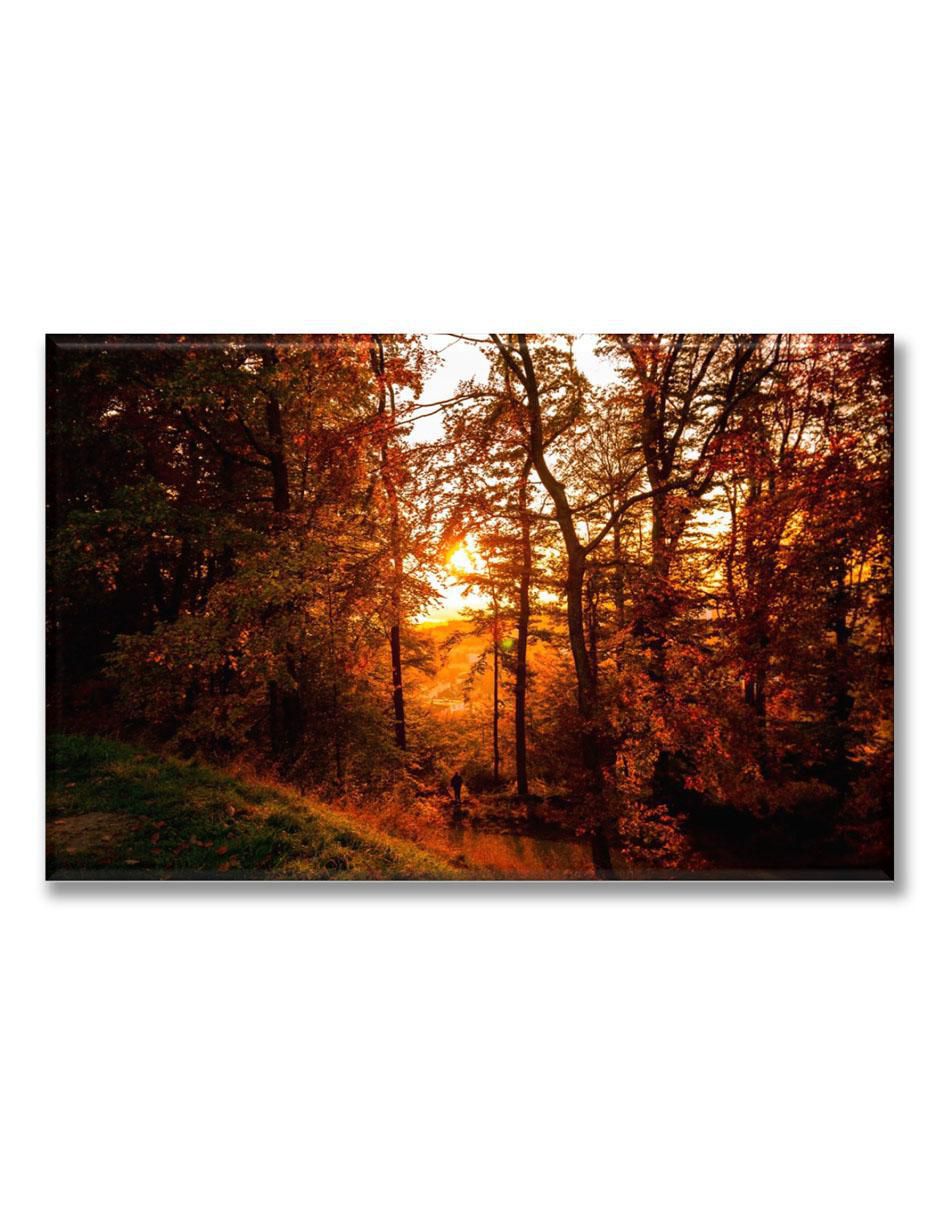 Cuadro decorativo pixtreats amanecer en el bosque