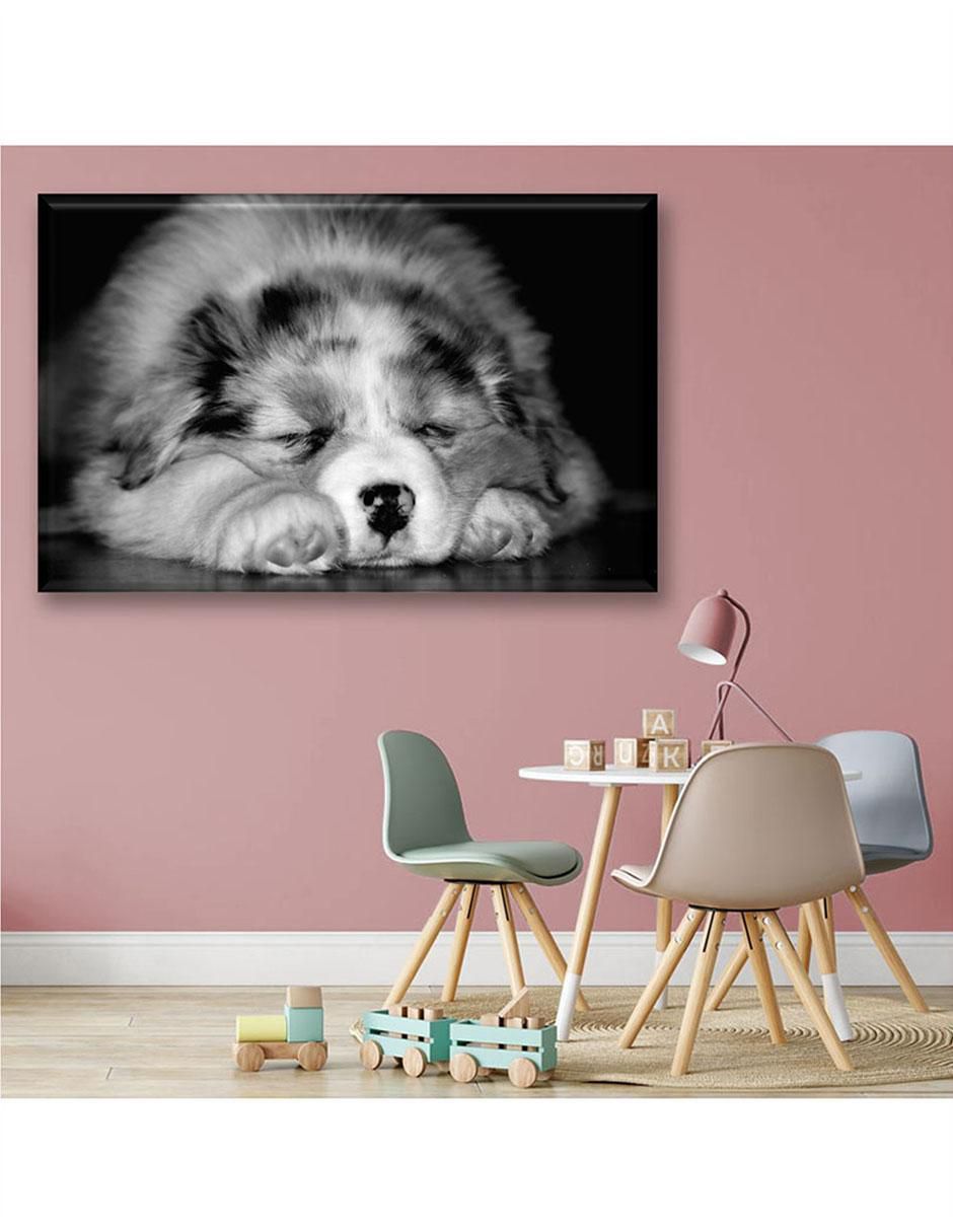 Cuadro decorativo Pixtreats cachorro durmiendo 3