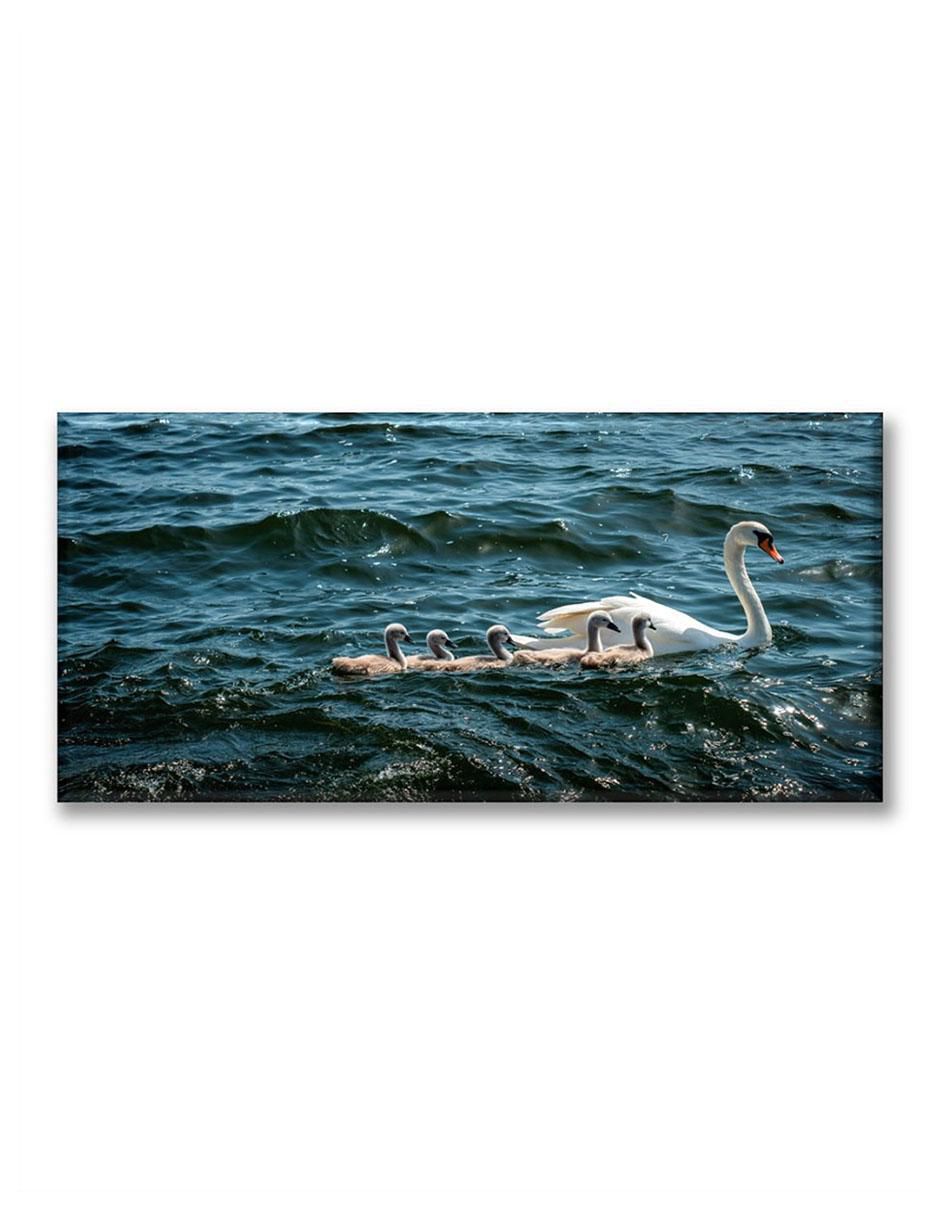 Cuadro decorativo Pixtreats cisnes Cuadro decorativo Pixtreats cisnes
