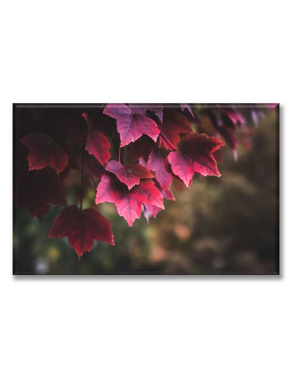 Cuadro decorativo Pixtreats hojas de otoño rojas