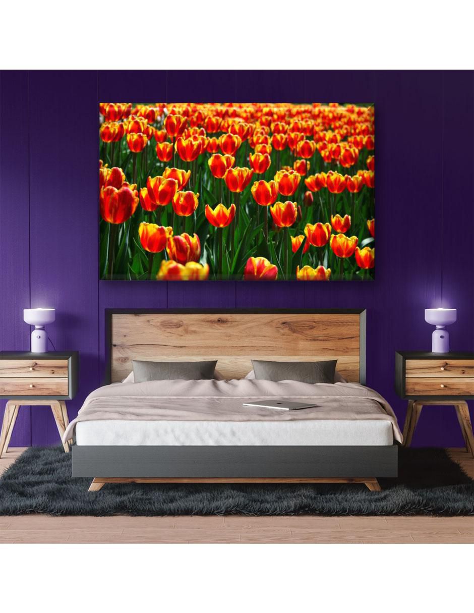 Cuadro decorativo Tulipanes naranjas 3