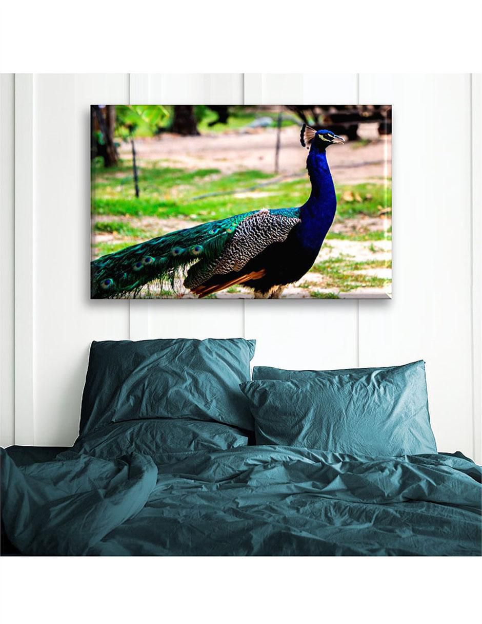 Cuadro decorativo pavo real 4