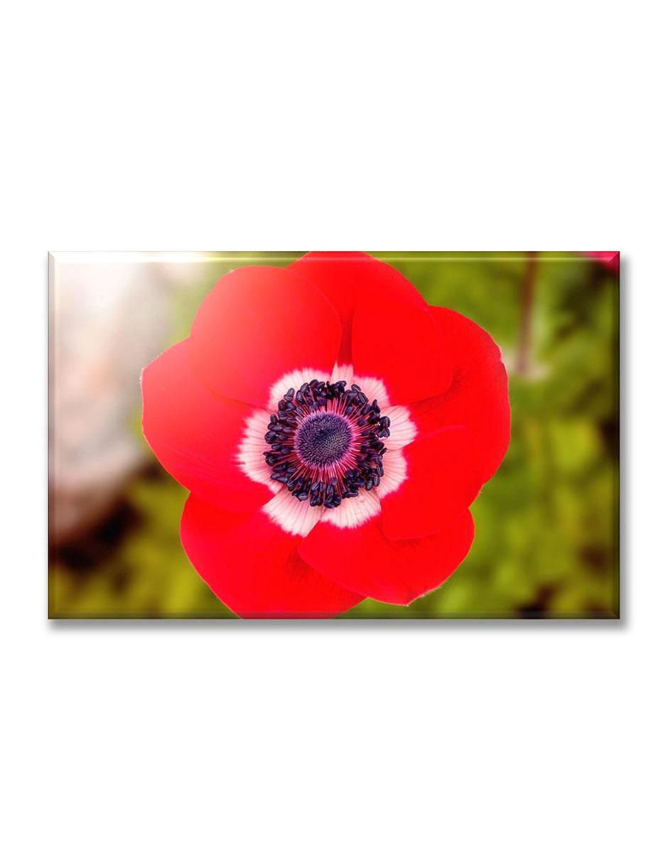 Cuadro decorativo Amapola Cuadro decorativo Amapola