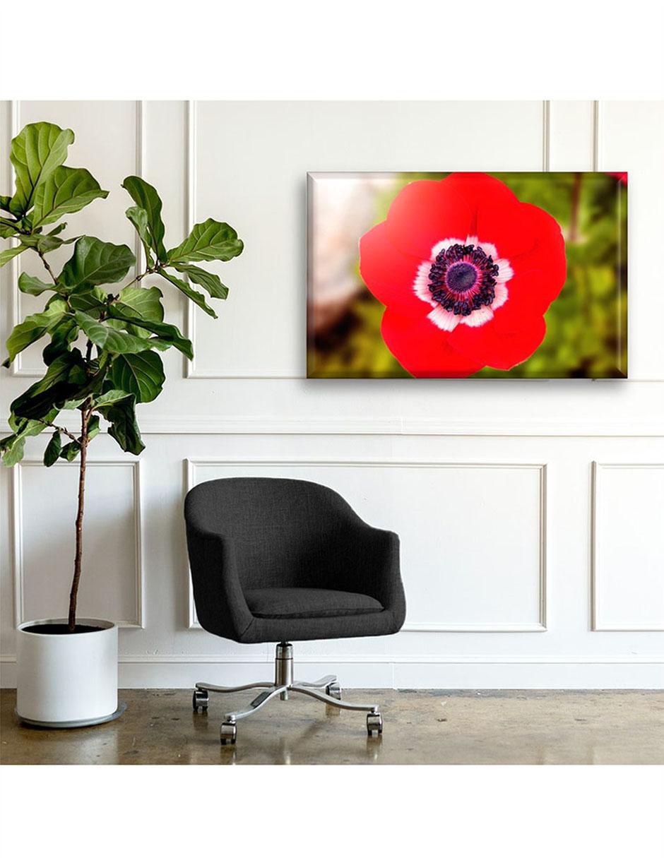 Cuadro decorativo Amapola 4