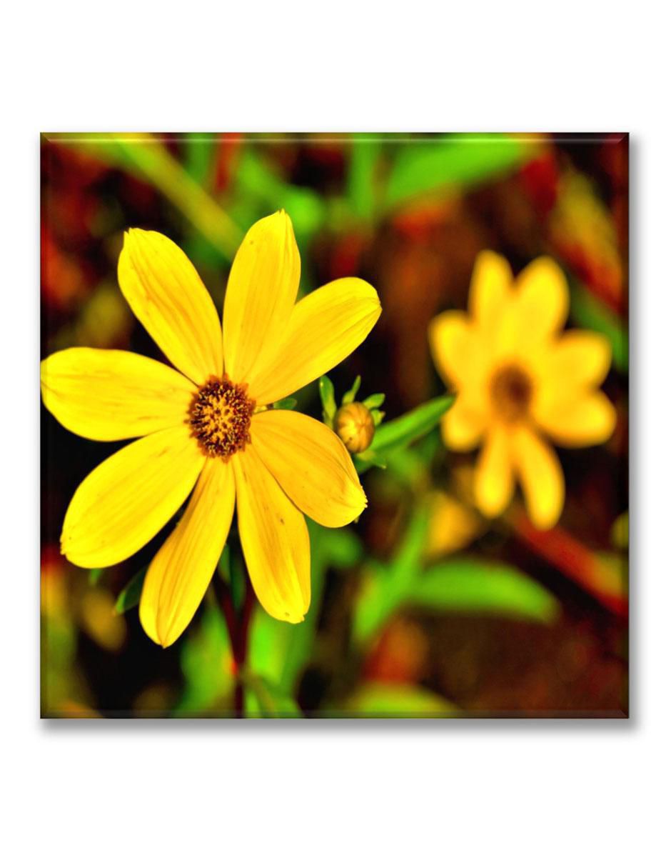 Cuadro decorativo Margaritas amarillas Cuadro decorativo Margaritas amarillas
