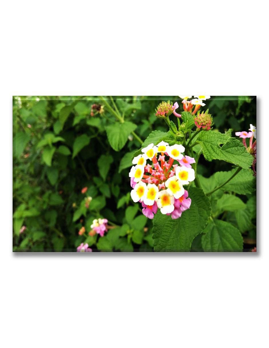 Cuadro decorativo lantanas