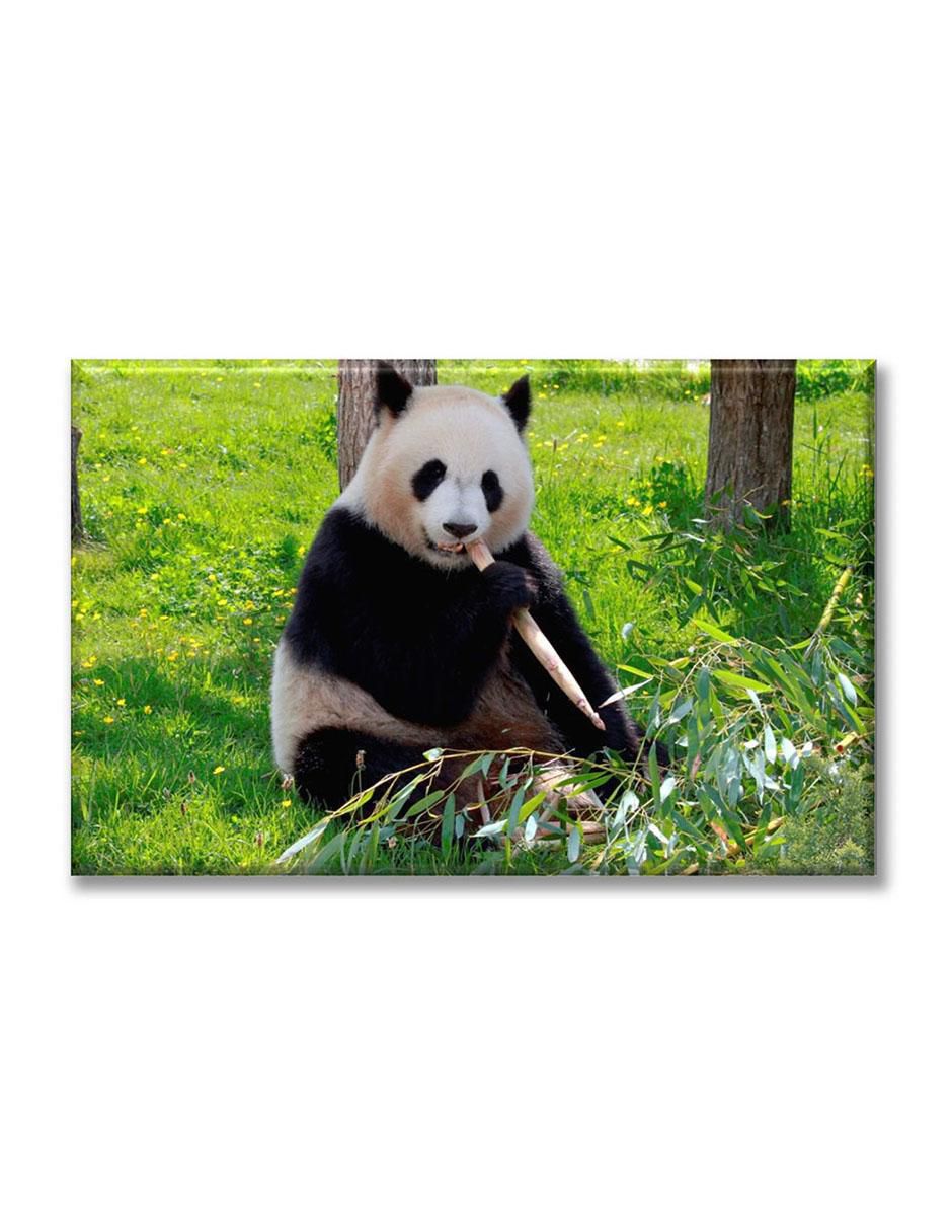 Cuadro decorativo Oso panda alimentándose Cuadro decorativo Oso panda alimentándose