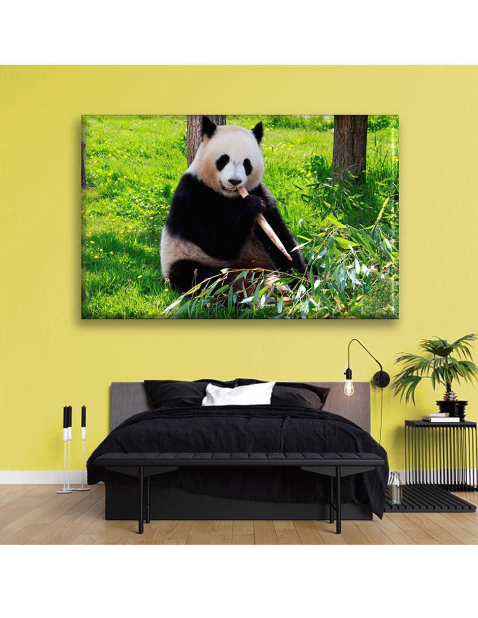 Cuadro decorativo Oso panda alimentándose 3