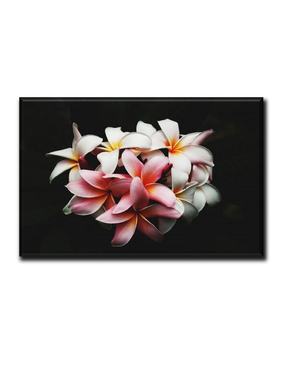 Cuadro decorativo Ramo con fondo negro