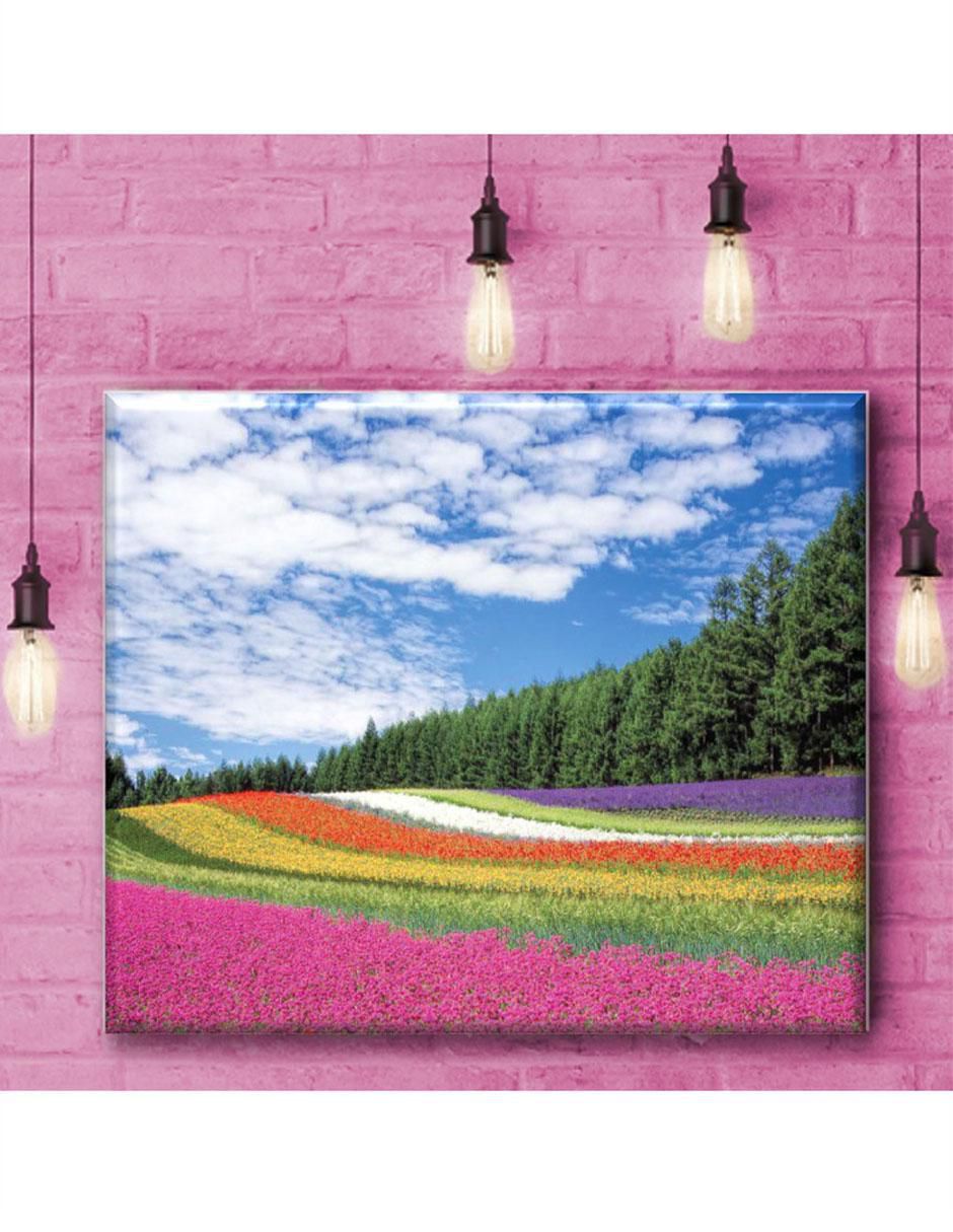Cuadro decorativo campo 3