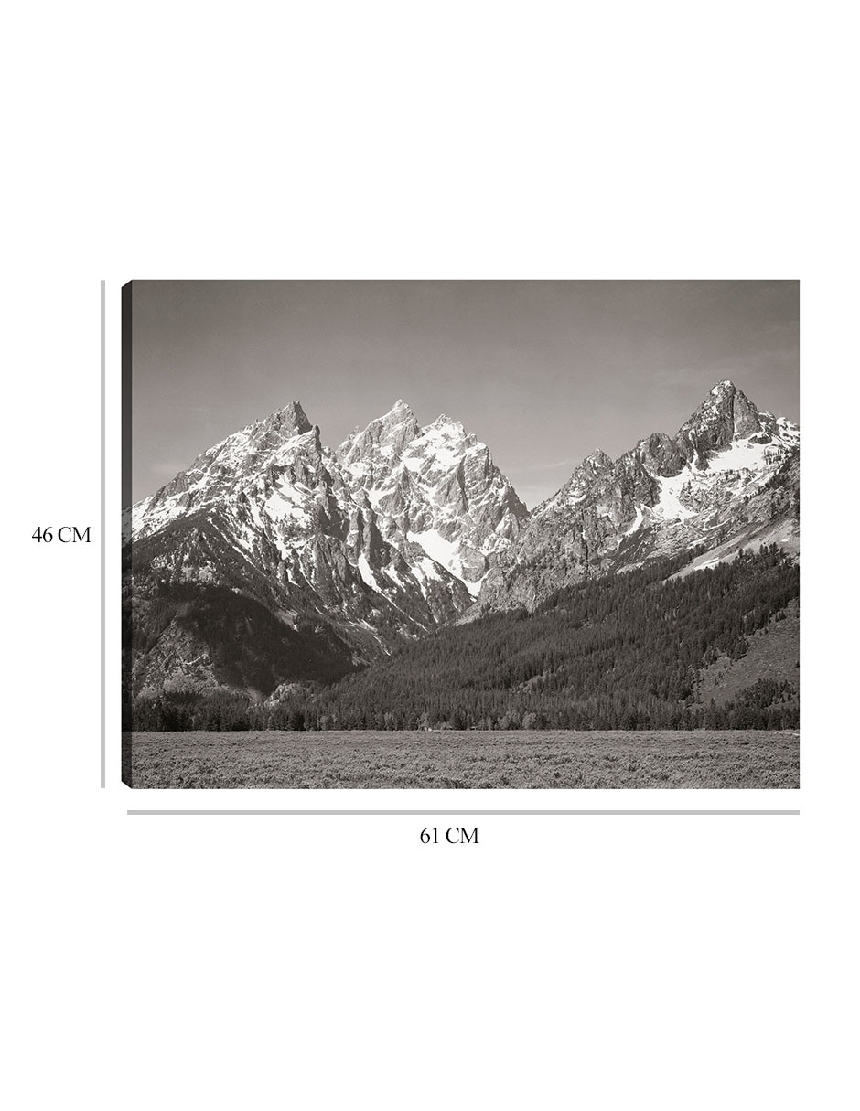 Cuadro decorativo Parque Nacional Teton, Wyoming técnica mixta Inspiración 3