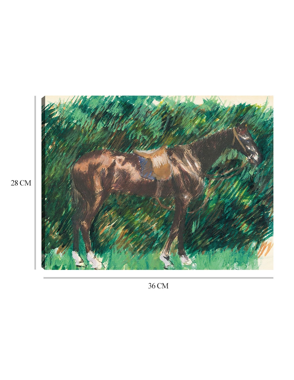 Cuadro decorativo Un caballo técnica mixta Campos 3