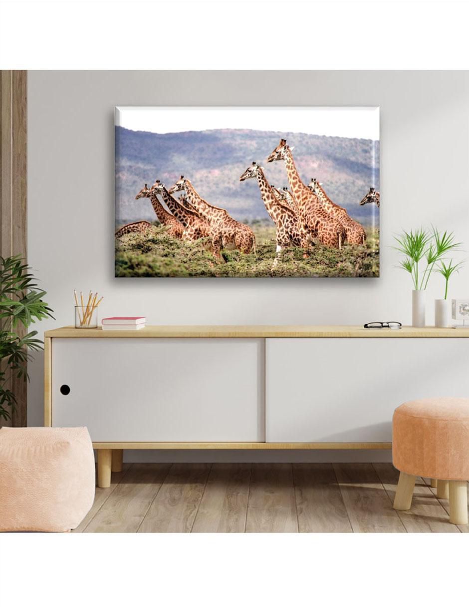 Cuadro decorativo Manada de jirafas 3