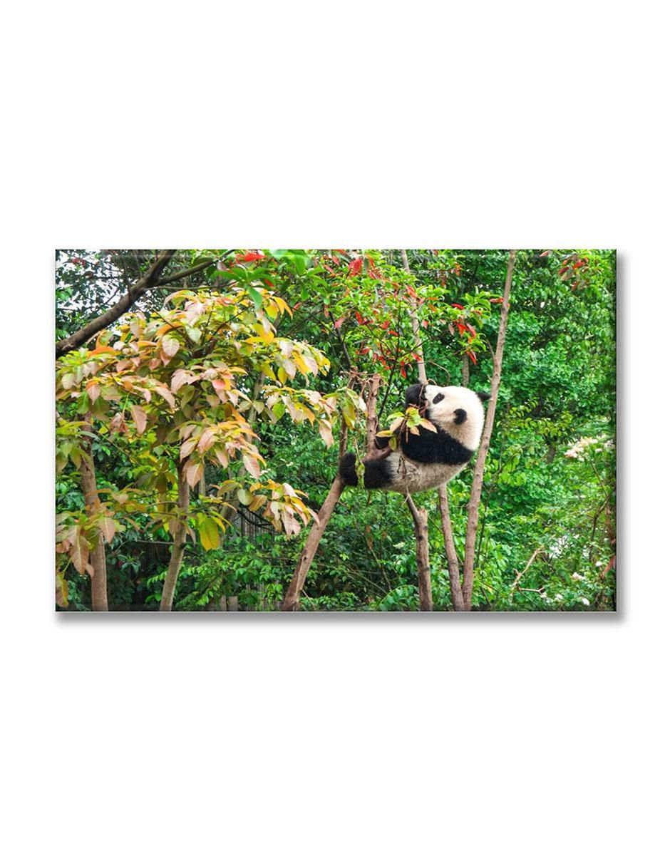 Cuadro decorativo Bebé panda comiendo Cuadro decorativo Bebé panda comiendo
