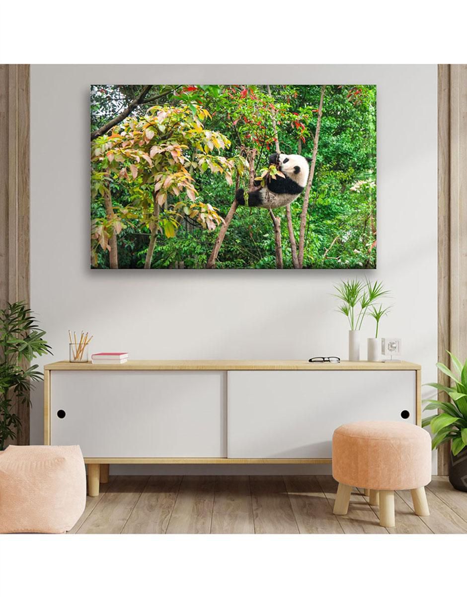 Cuadro decorativo Bebé panda comiendo 2