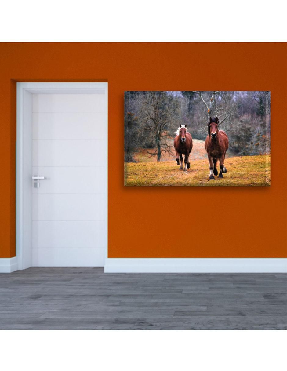 Cuadro decorativo Caballos galopando 2