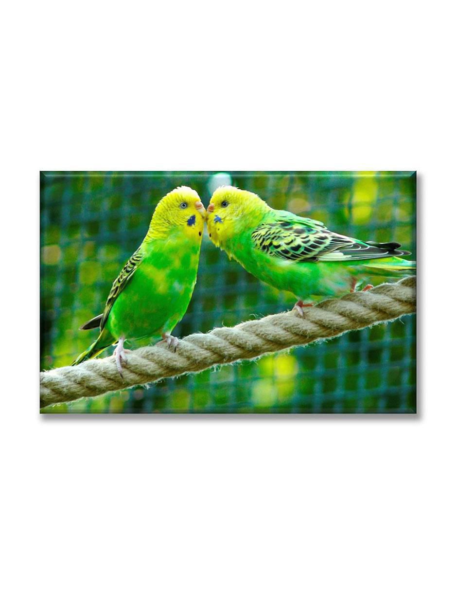 Cuadro decorativo Pericos australianos Cuadro decorativo Pericos australianos
