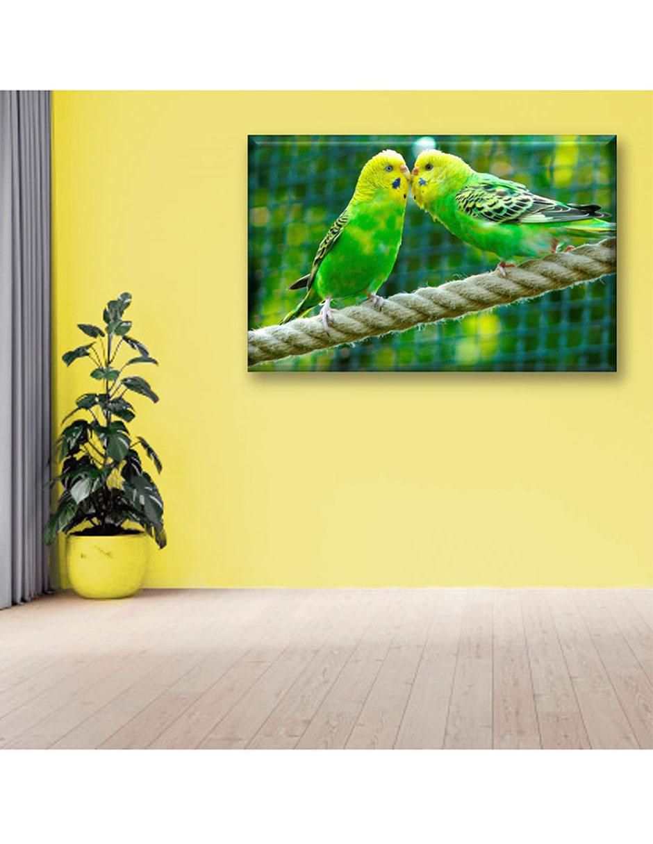 Cuadro decorativo Pericos australianos 2