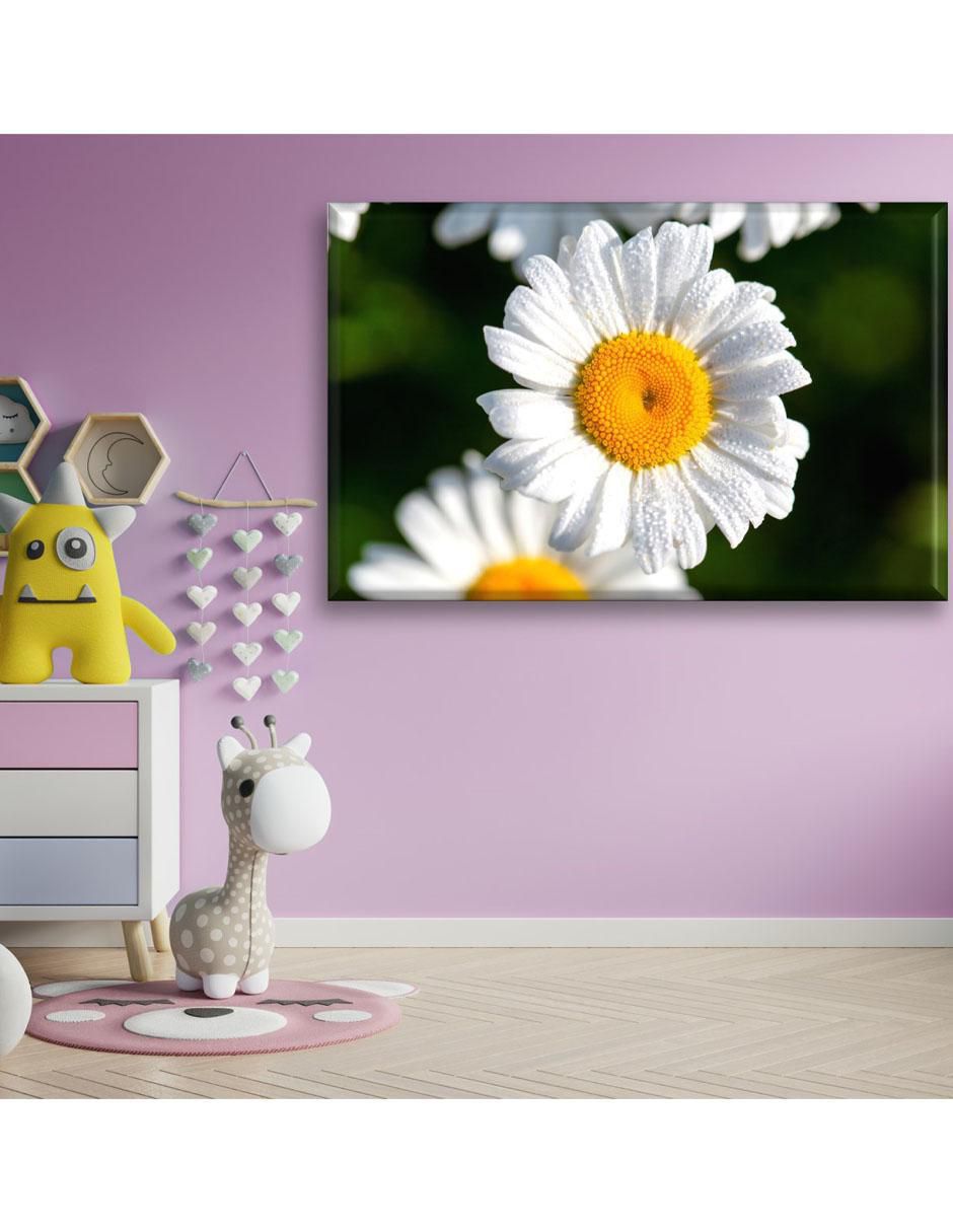 Cuadro decorativo Margarita 3
