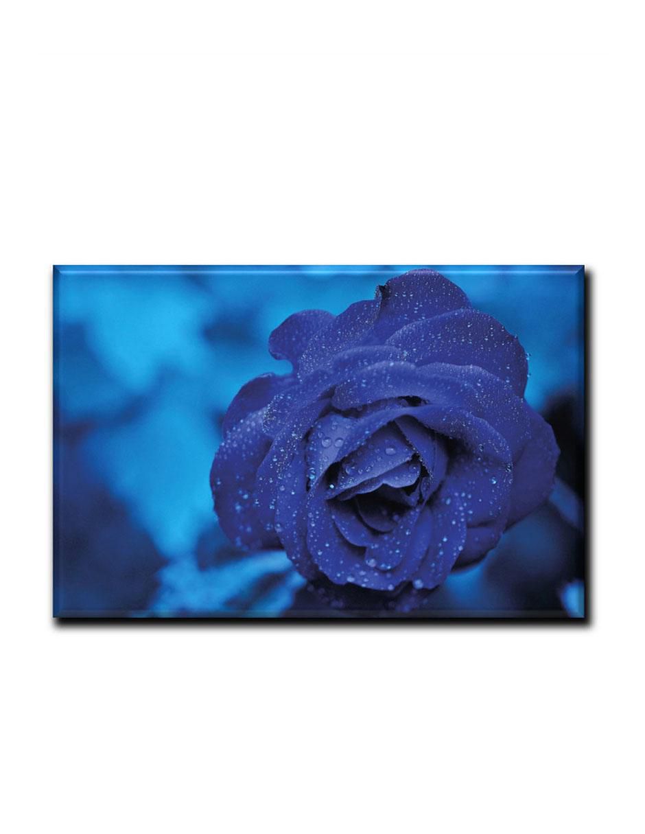 Cuadro decorativo Rosa azul