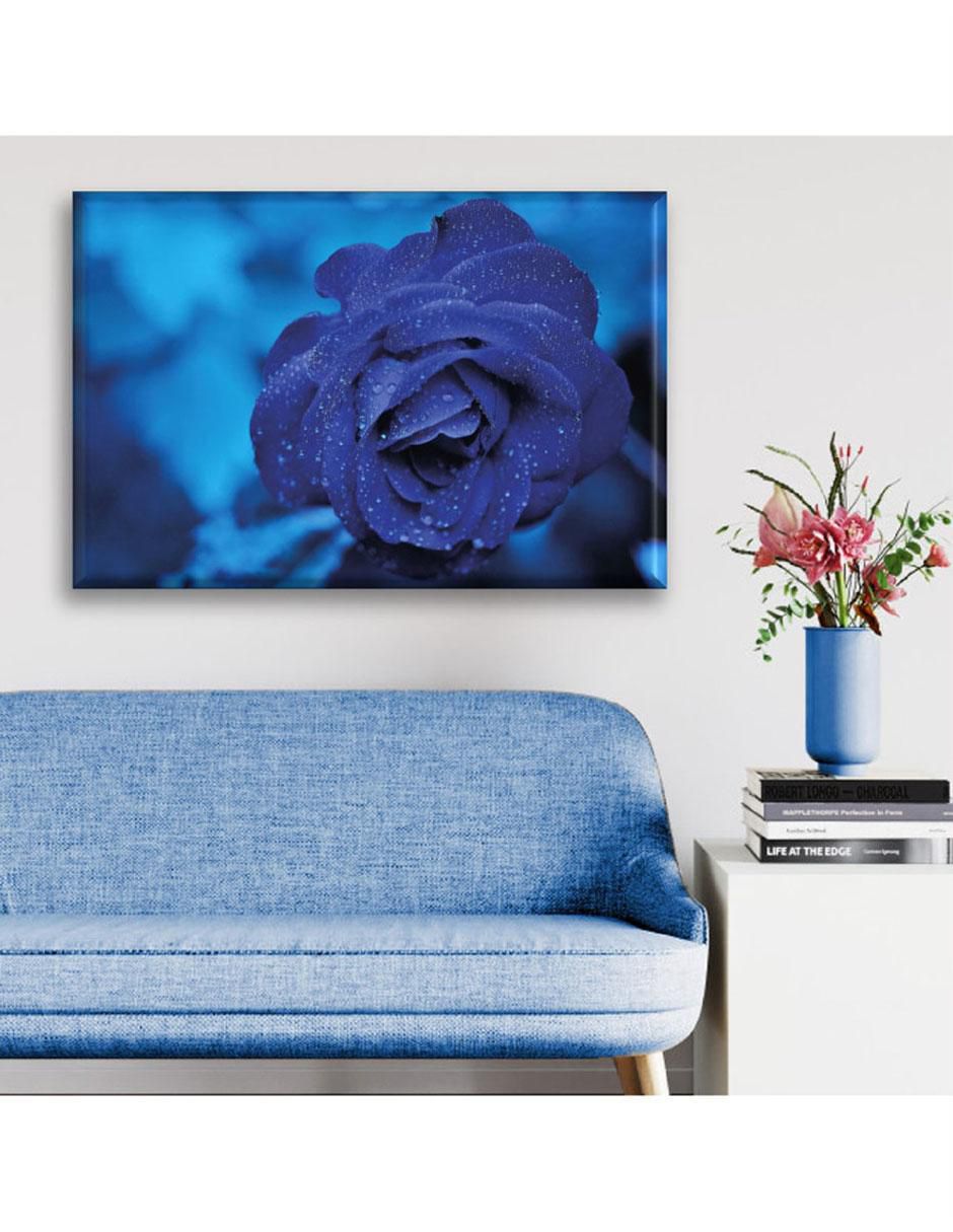 Cuadro decorativo Rosa azul 2