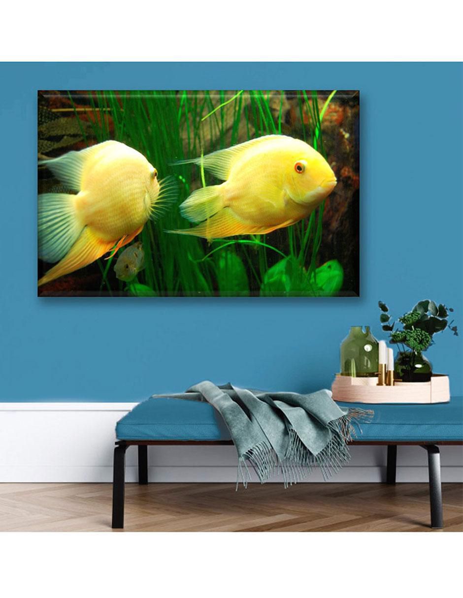 Cuadro decorativo Peces exóticos 2