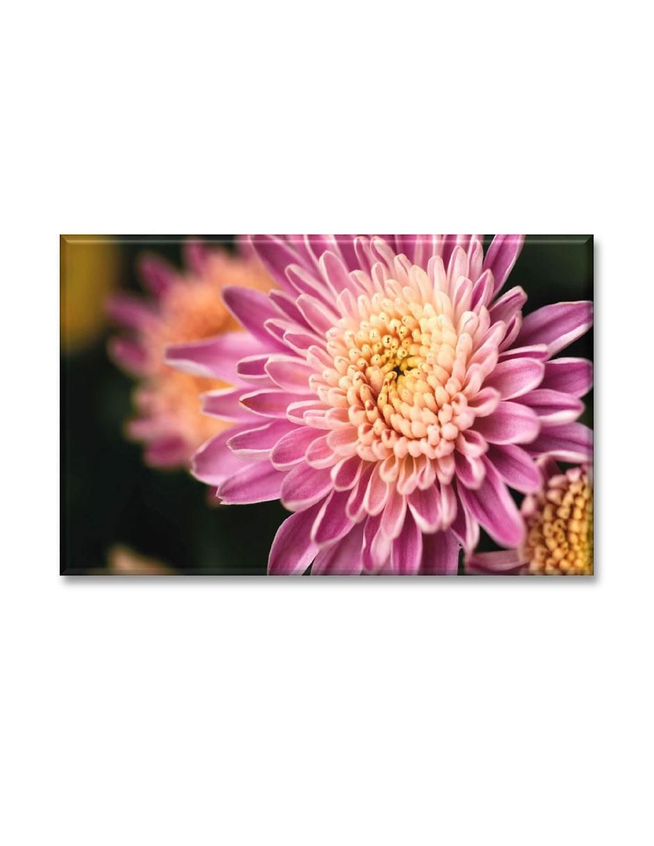 Cuadro decorativo Dalia rosa Cuadro decorativo Dalia rosa