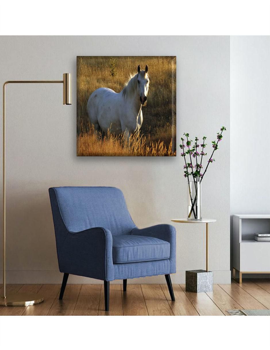 Cuadro decorativo Caballo 2