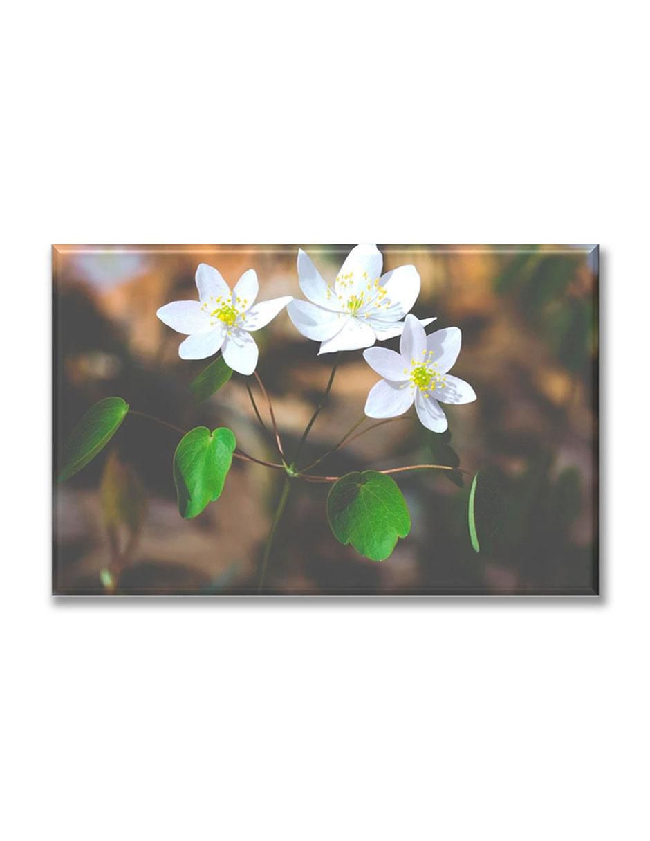 Cuadro decorativo flores