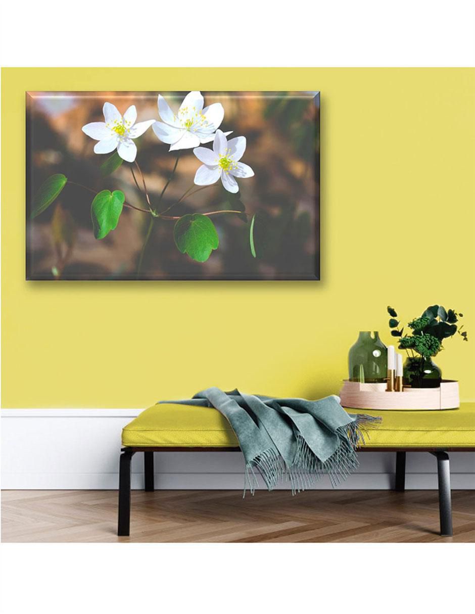 Cuadro decorativo flores 3