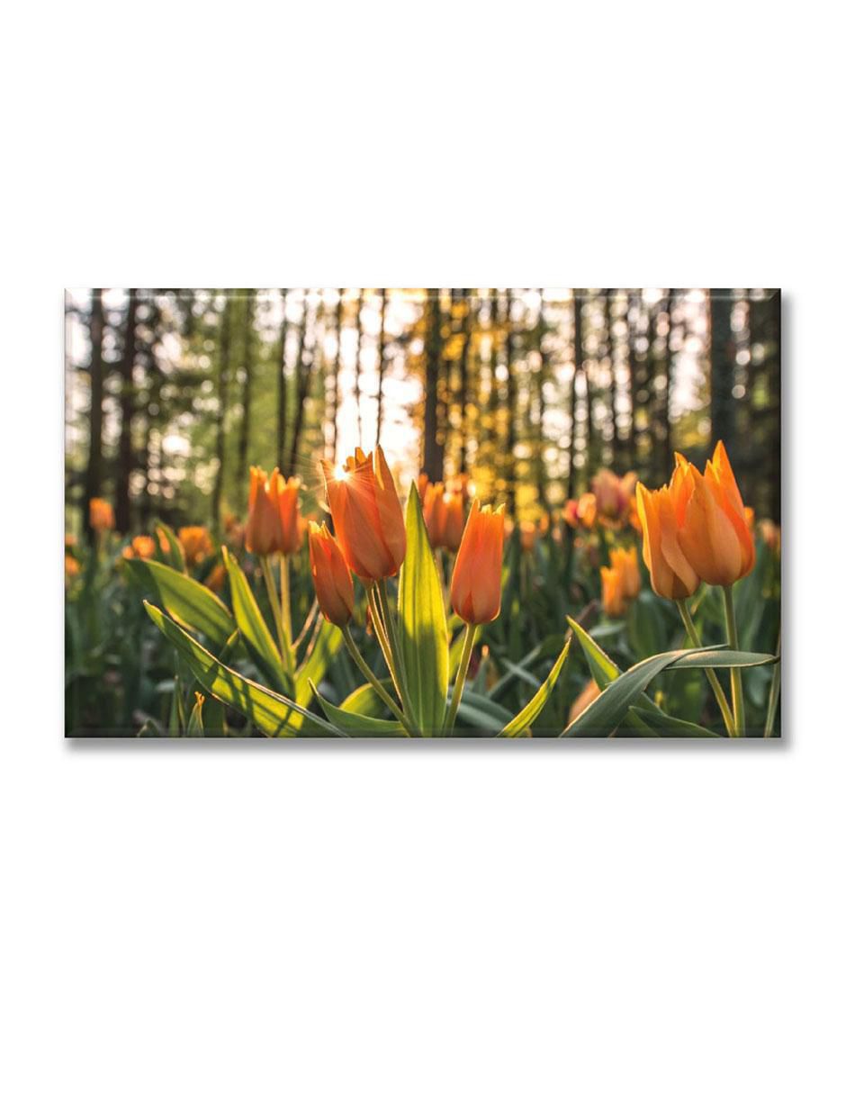Cuadro decorativo Tulipanes