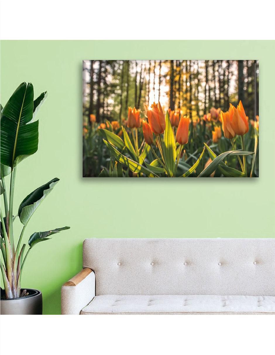 Cuadro decorativo Tulipanes 2