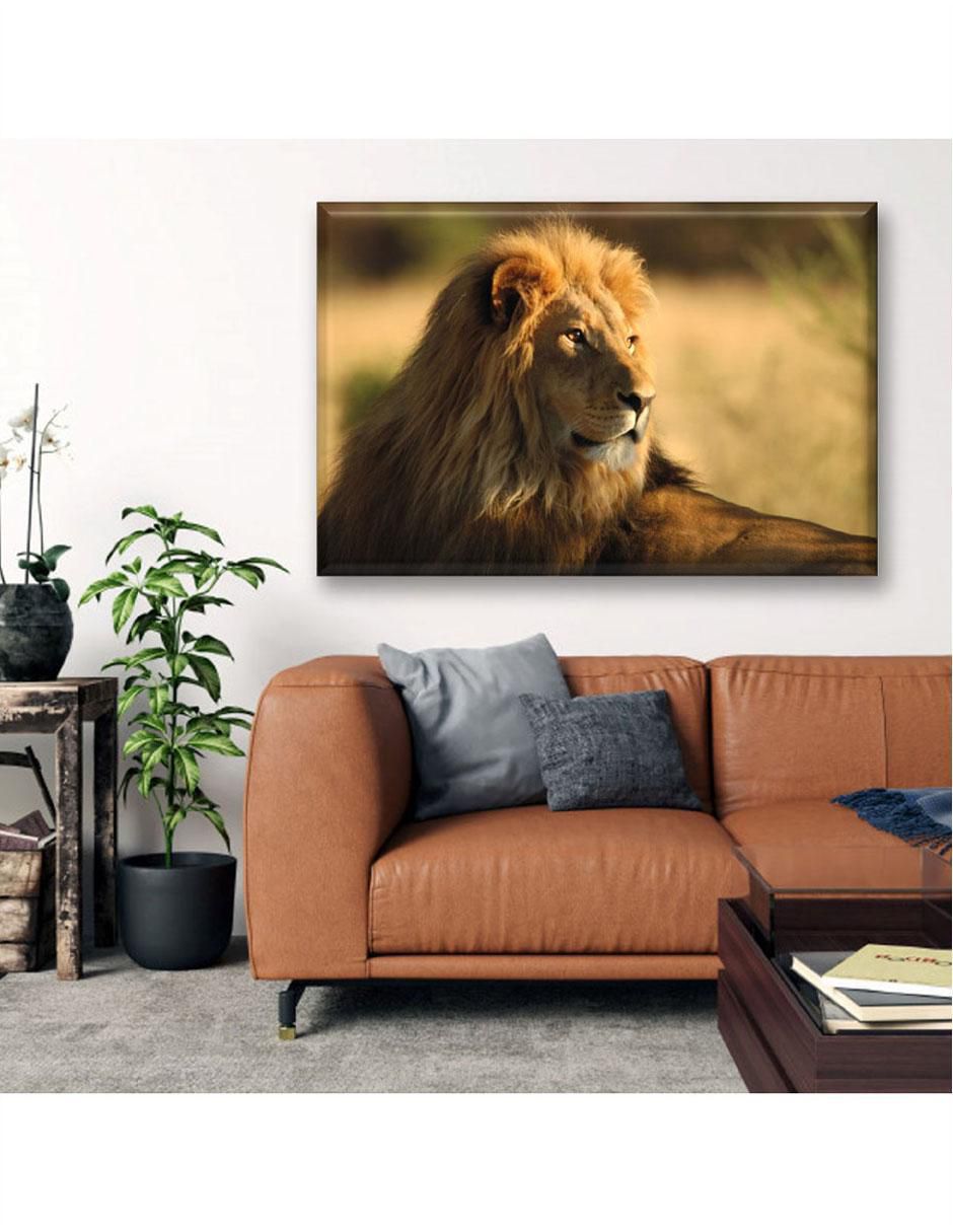 Cuadro decorativo rey de la selva 3