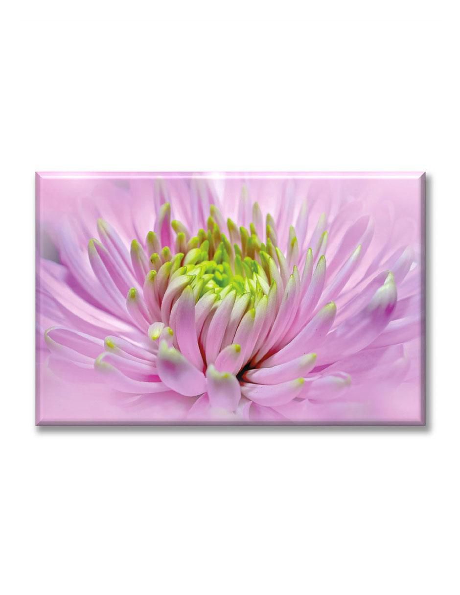 Cuadro decorativo Dalia rosa