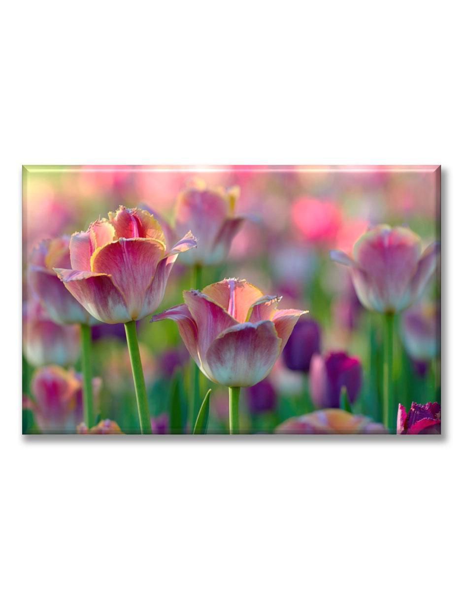 Cuadro decorativo tulipanes rosas