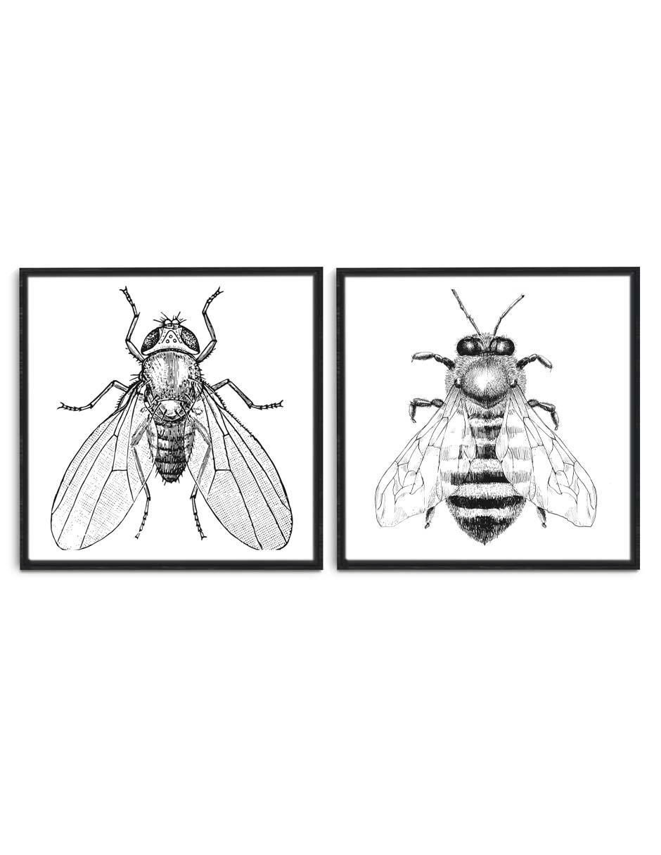 Cuadro decorativo Canvas Art Set par de insectos con barniz a registro