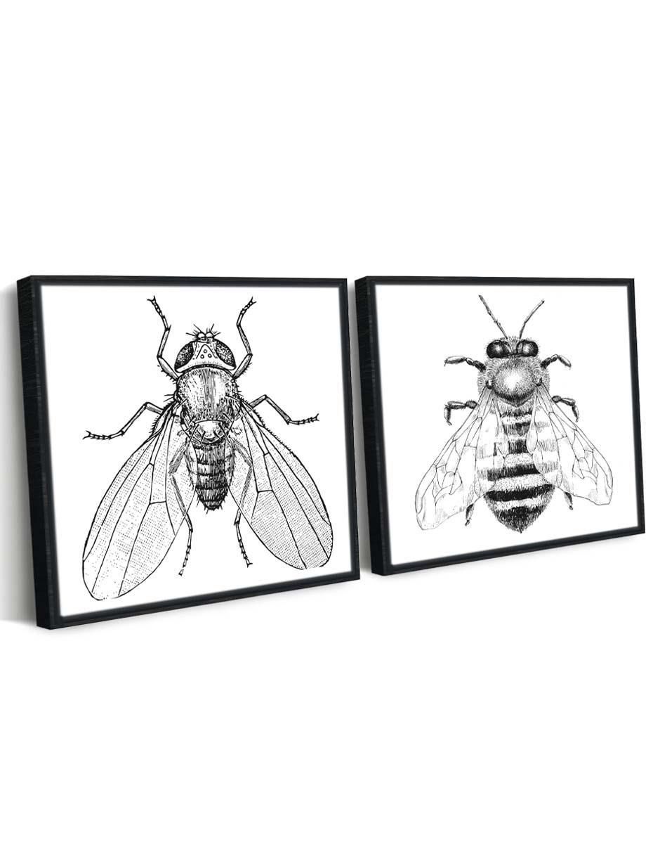 Cuadro decorativo Canvas Art Set par de insectos con barniz a registro
