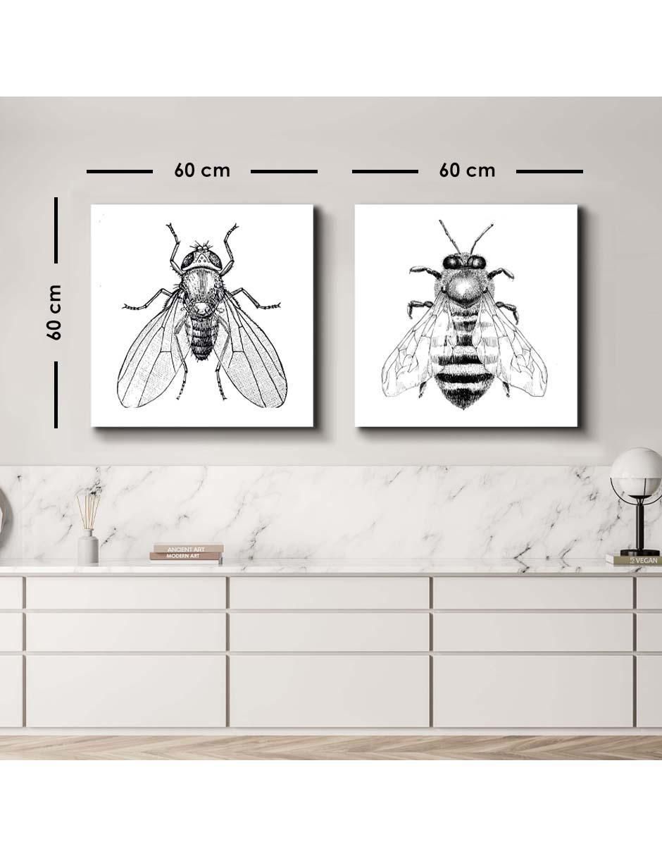 Cuadro decorativo Set de alas angelicales blancas con barniz a registro 5