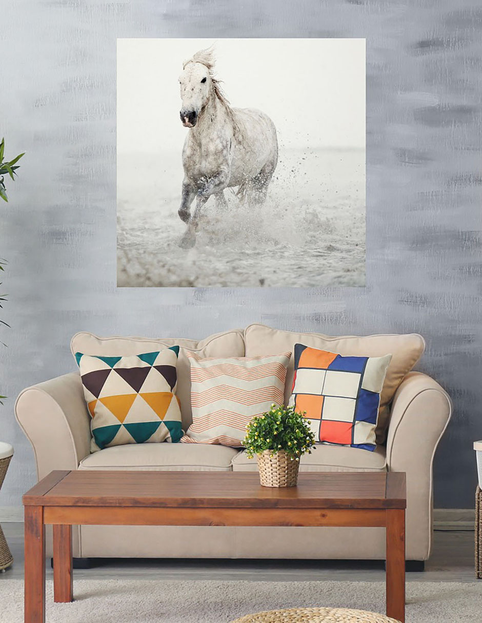 Cuadro decorativo Cabalgata técnica mixta Vida Silvestre 3