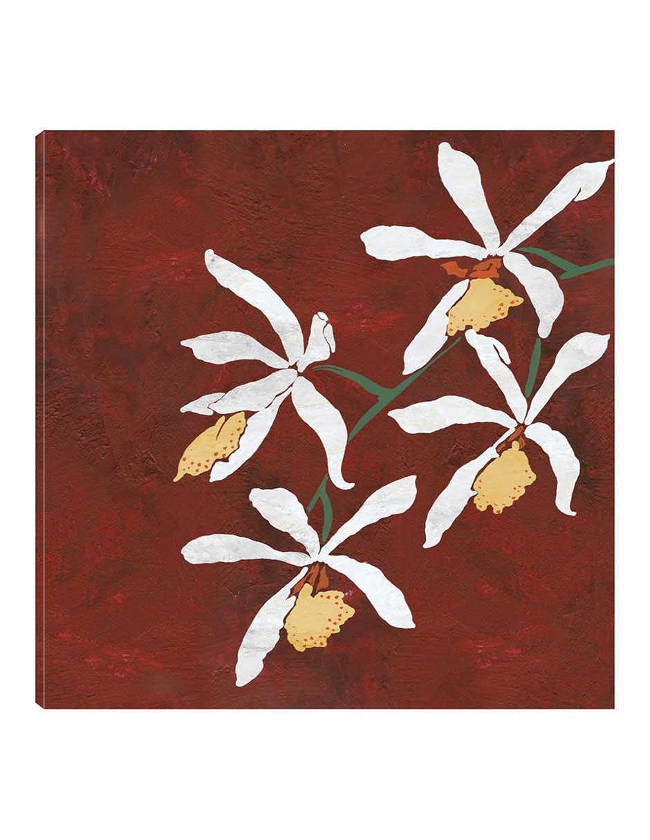 Cuadro decorativo Floral roja técnica mixta Floración Cuadro decorativo Floral roja técnica mixta Floración