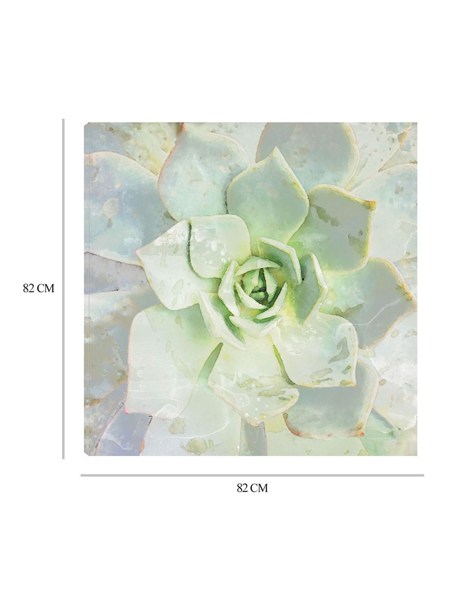 Cuadro decorativo Belleza de las suculentas técnica mixta Floración 6