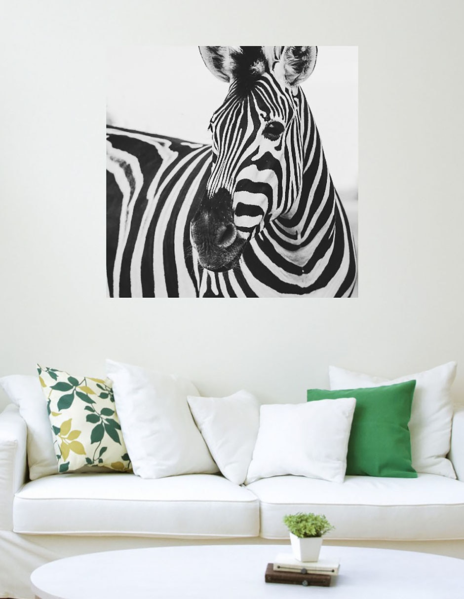 Cuadro decorativo Cebra de cerca técnica mixta Vida Silvestre 3