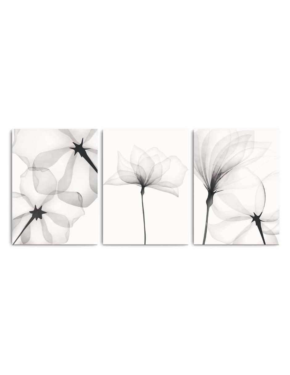 Cuadro decorativo set de acuarela blanco negro flores con barniz a registro Cuadro decorativo set de acuarela blanco negro flores con barniz a registro