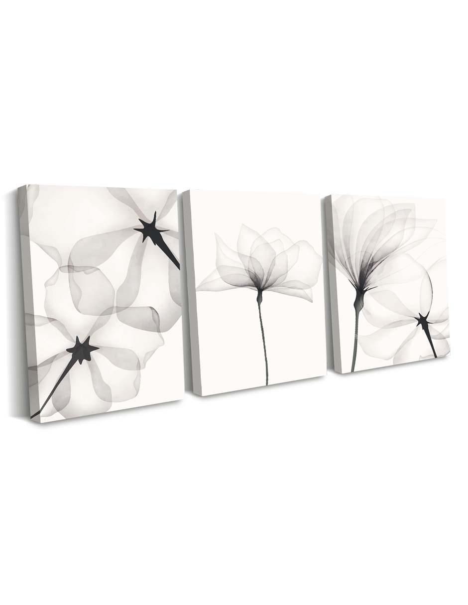 Cuadro decorativo set de acuarela blanco negro flores con barniz a registro 2