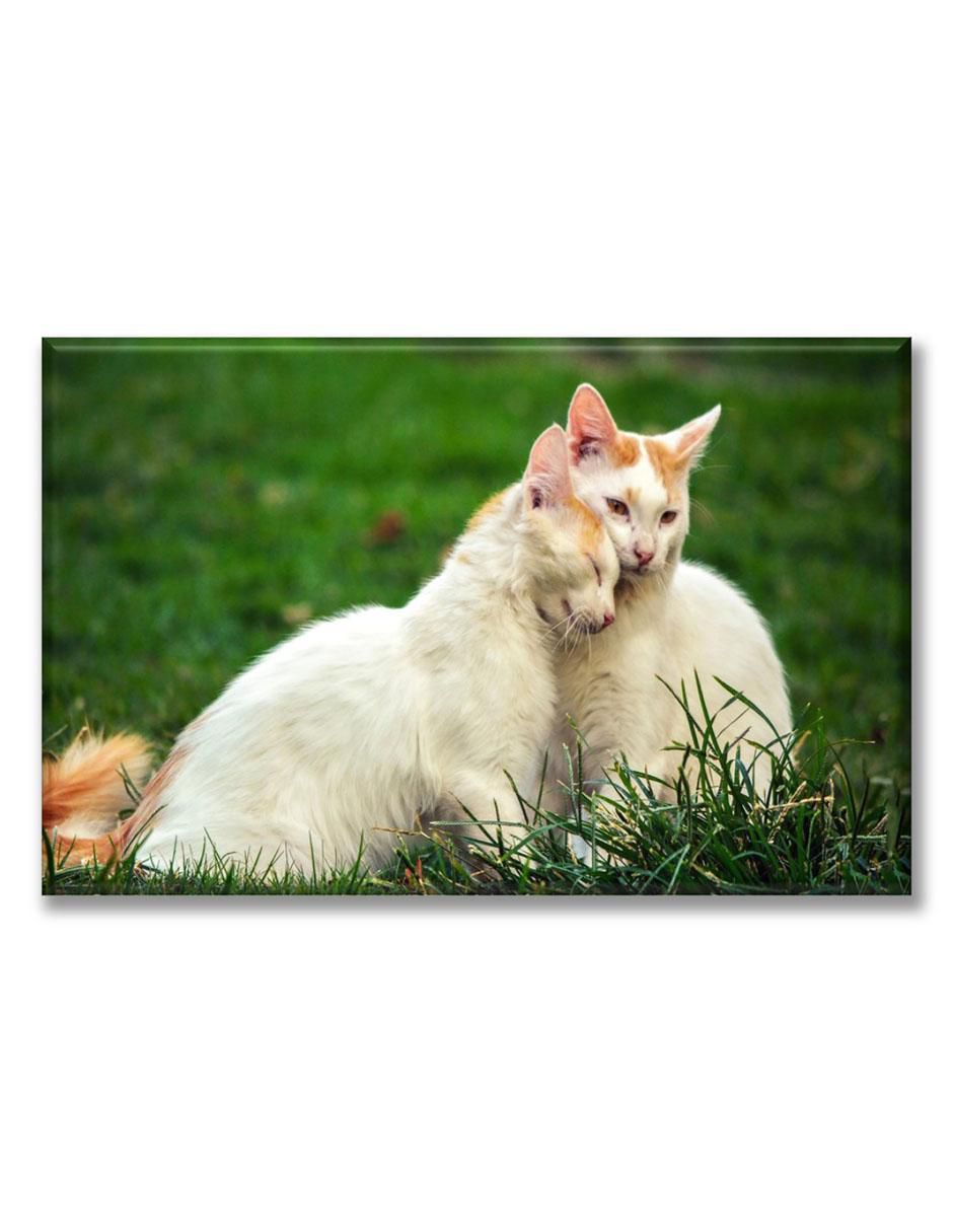 Cuadro decorativo Gatos enamorados Cuadro decorativo Gatos enamorados