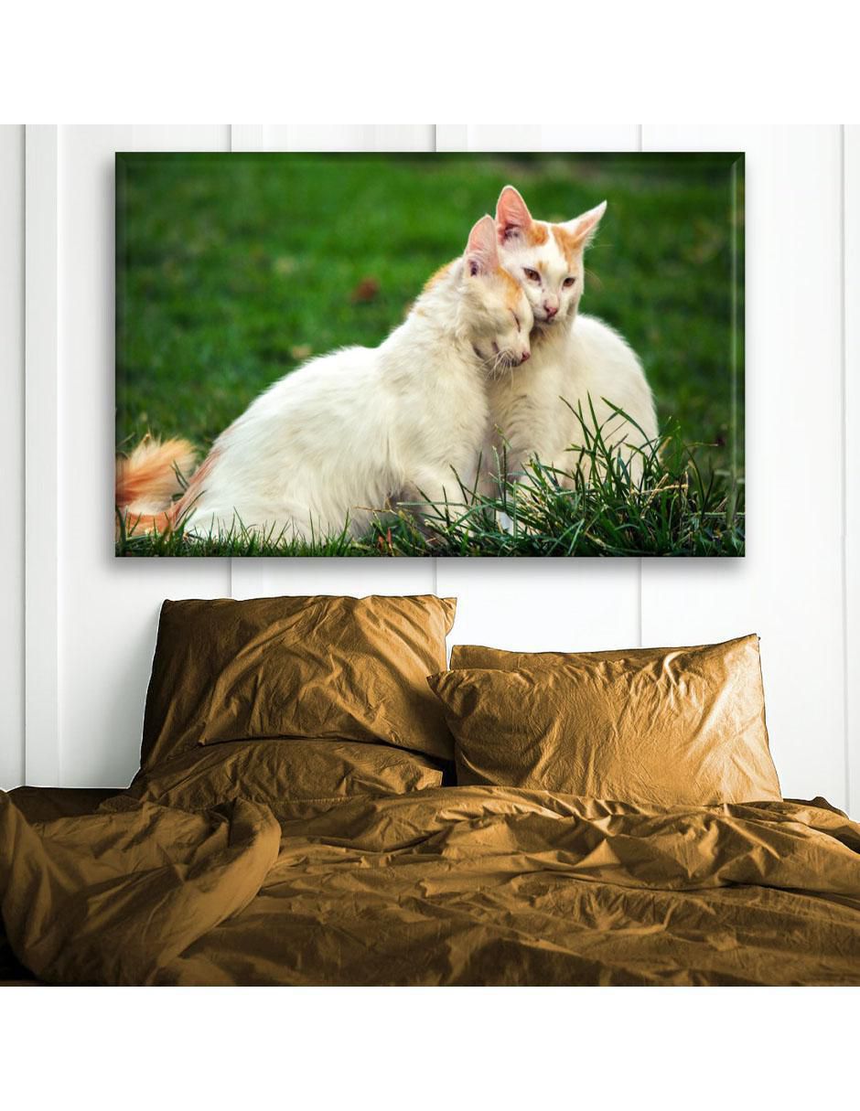 Cuadro decorativo Gatos enamorados 3