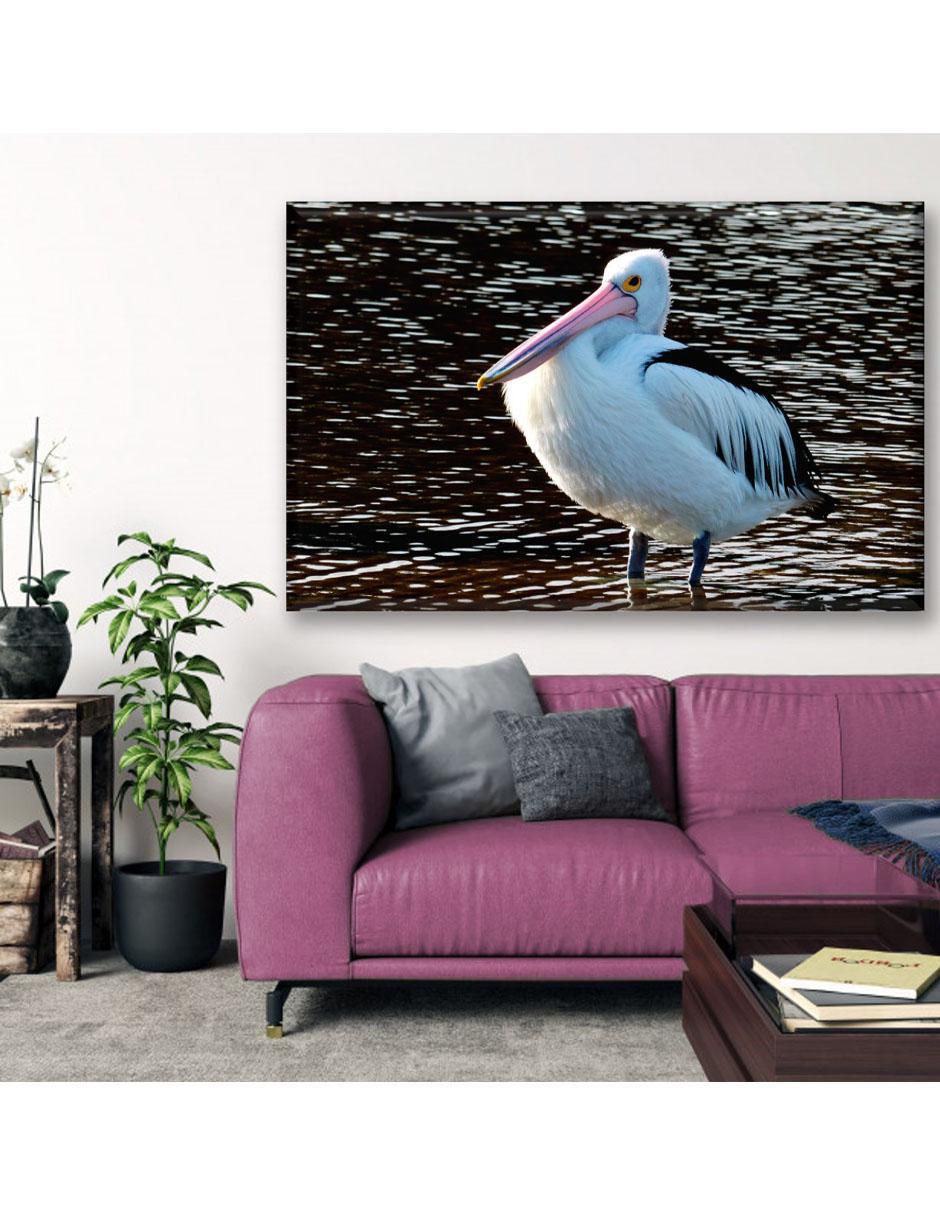 Cuadro decorativo Pelícano 3